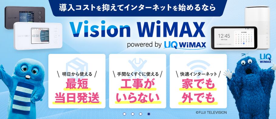 VisionWiMAX｜